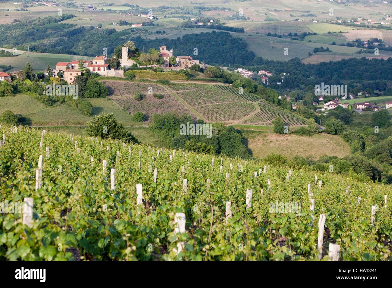 Ternand France, Rhone, Beaujolais région, Ternand village Stock Photo - Alamy