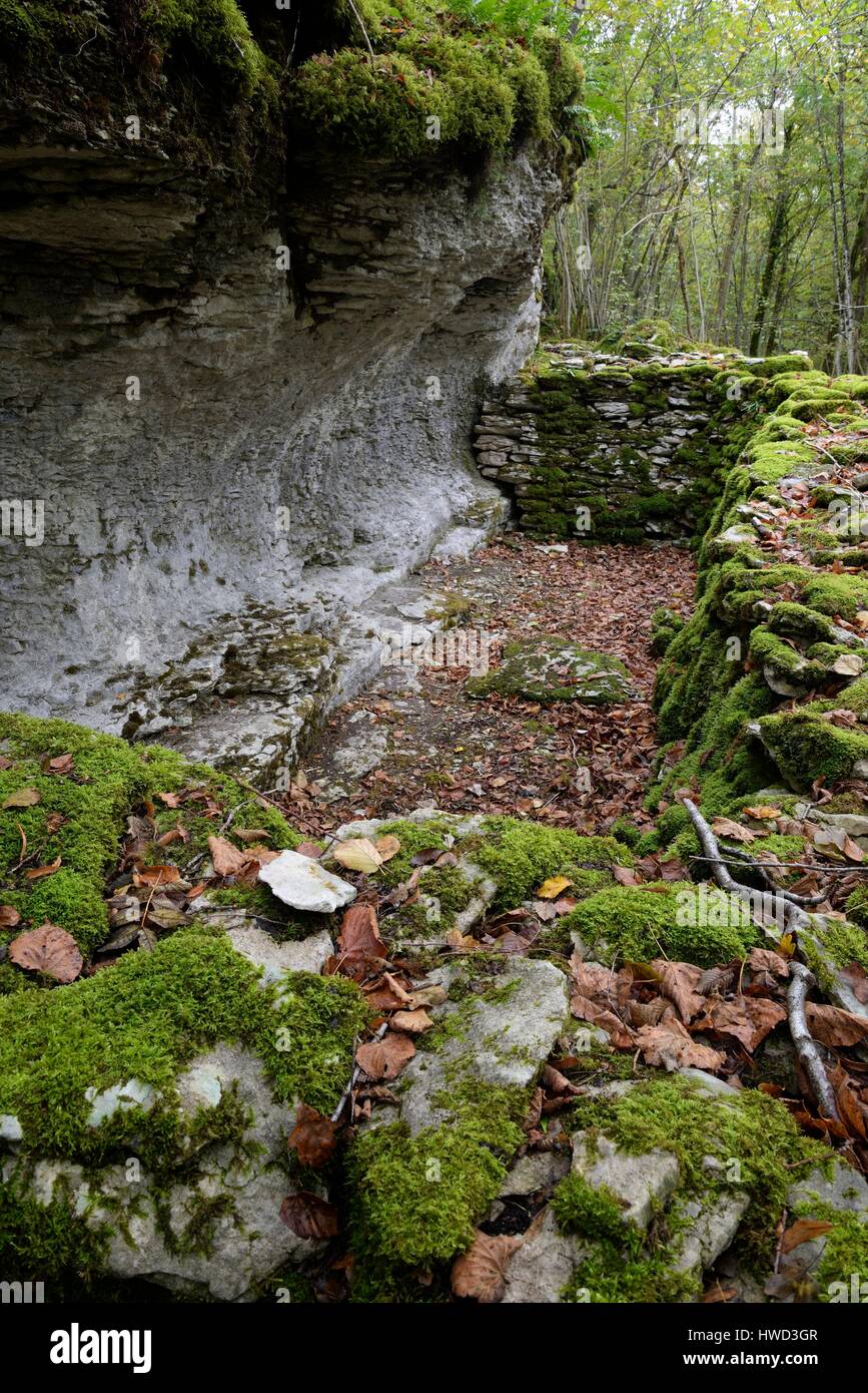 https://c8.alamy.com/comp/HWD3GR/france-doubs-alaise-forest-site-to-chatelaillon-la-gauloise-trail-HWD3GR.jpg