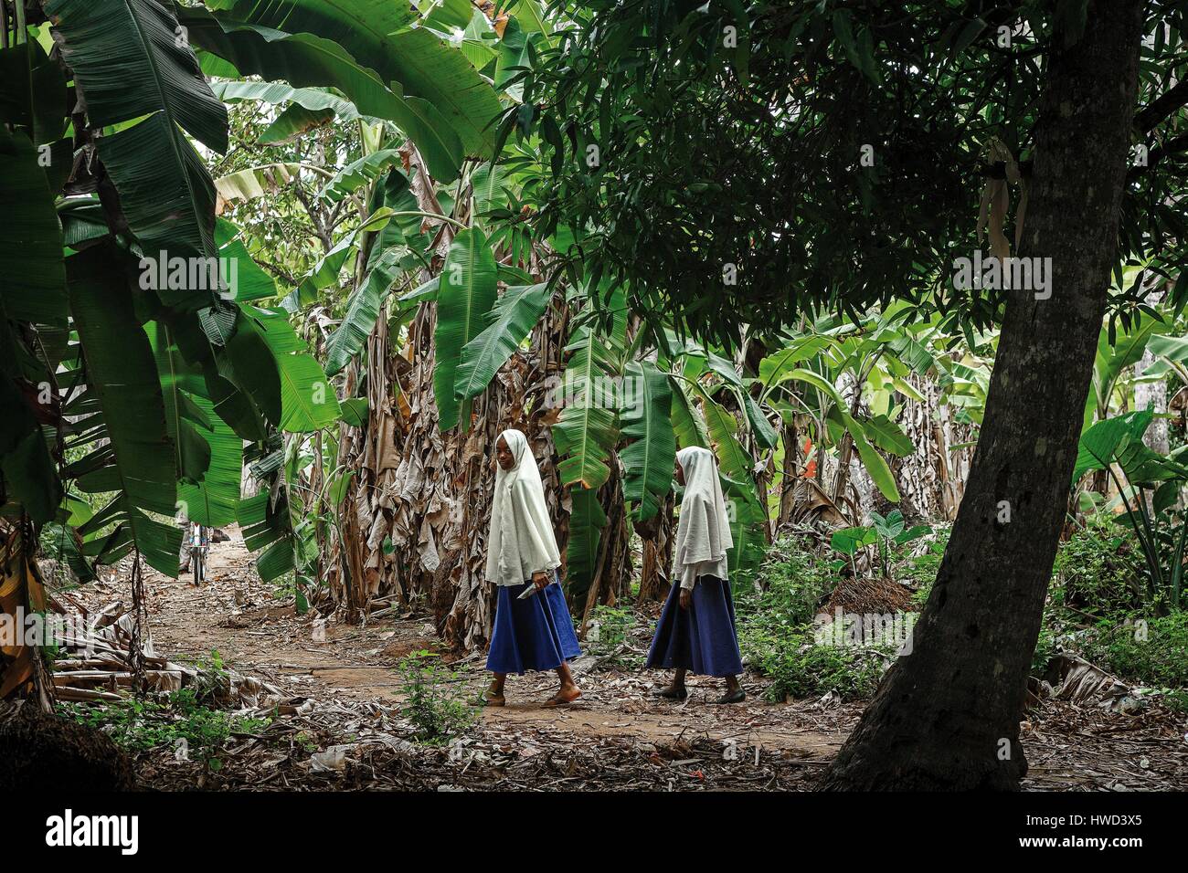 Tanzania, Zanzibar, Mtoni, girls home from school in a landscape of tropical vegetation Stock Photo