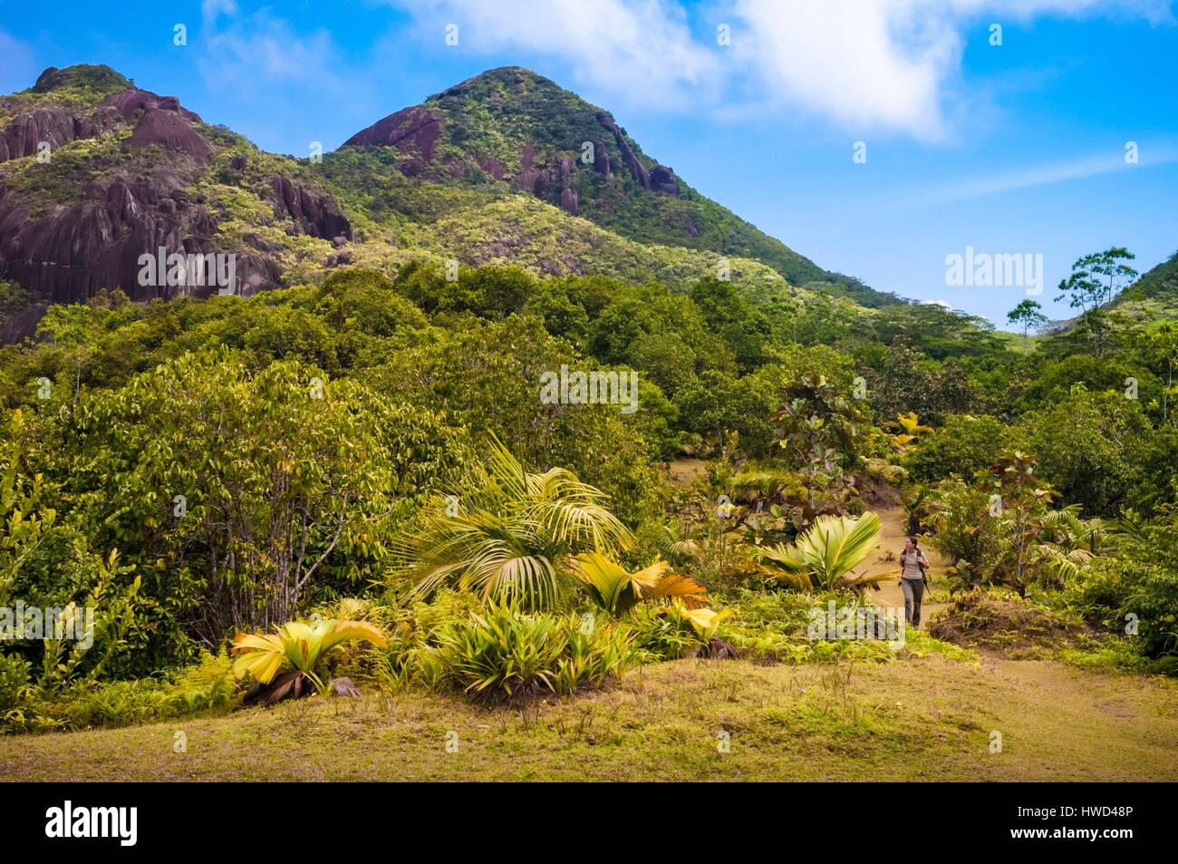 Seychelles, Mahe island, the Morne Seychellois National Park, hiking in