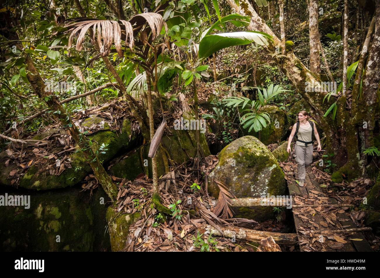 Seychelles, Mahe island, the Morne Seychellois National Park, hiking Copolia, gateway in the undergrowth of the rainforest dotted with granite blocks Stock Photo