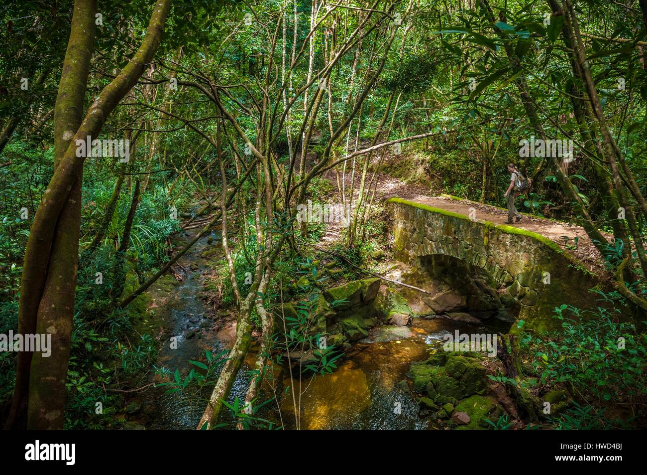 Seychelles, Mahe island, the Morne Seychellois National Park, hiking in the Mare aux Cochons, crossing the old bridge of the Swiss fathers Stock Photo
