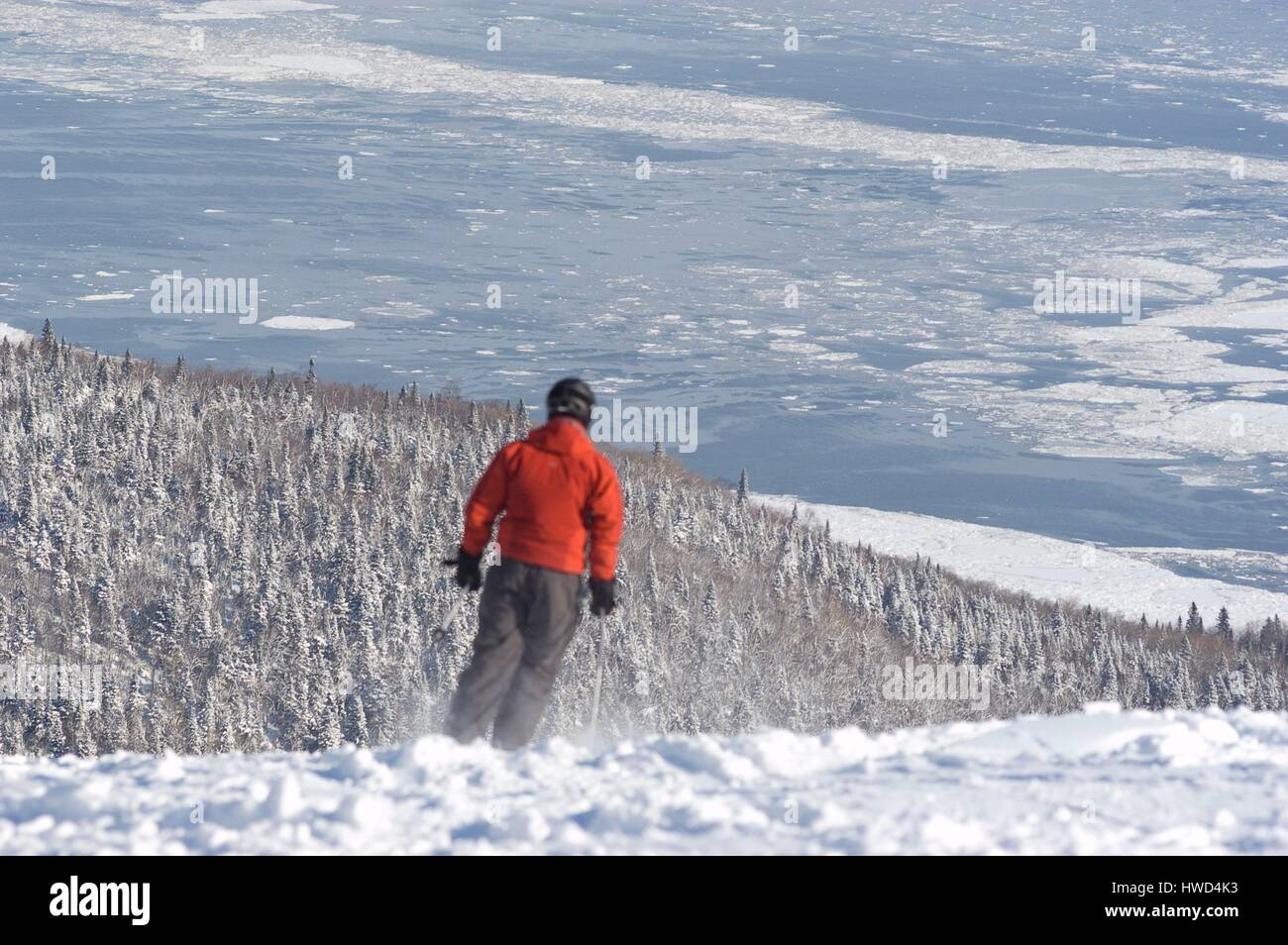 Canada, Quebec, Charlevoix, Petite-Riviere-Saint-François, Massif de  Charlevoix ski area, a skier on track, Saint Lawrence River covered by ice  in the background Stock Photo - Alamy