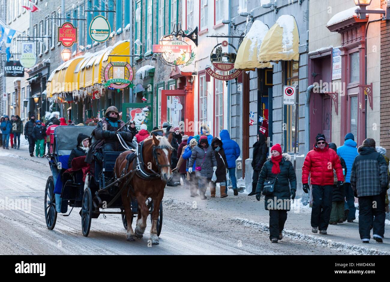 Canada, Province of Quebec, Quebec City, carriage ride horse in winter