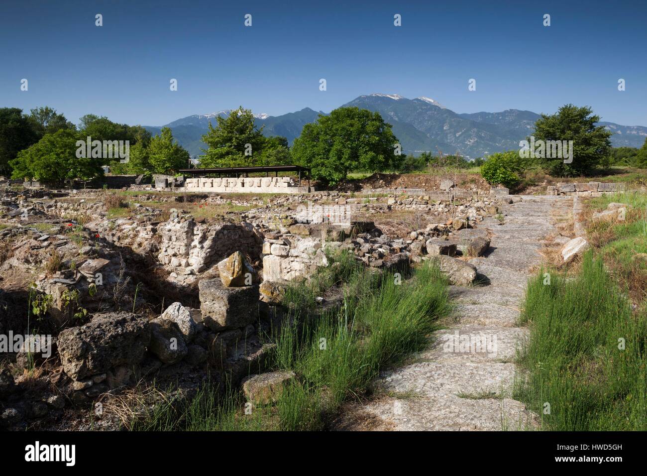 Greece, Central Macedonia Region, Dion, Ancient Dion, ruins of city from 4th century BC Stock Photo