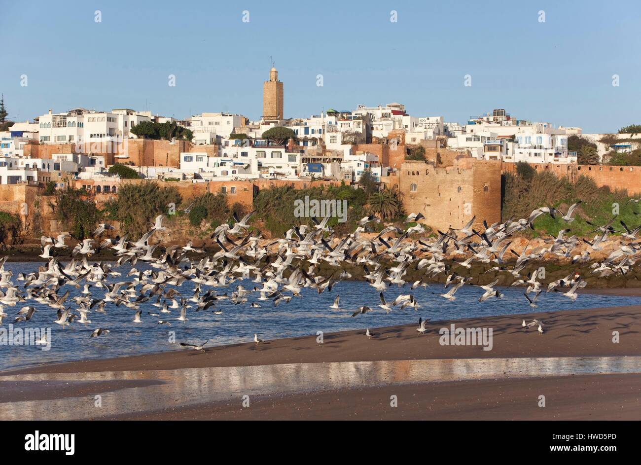 Morocco, Rabat, listed as World Heritage by UNESCO Stock Photo - Alamy