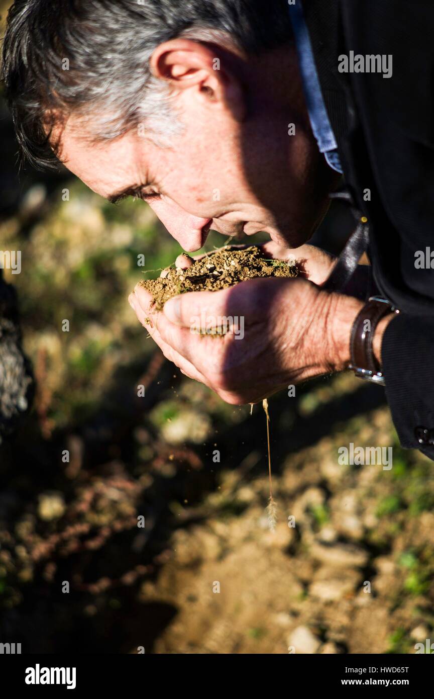 France, Ardeche, Saint Peray, Rhone valley, Alberic Mazoyer wine grower Stock Photo