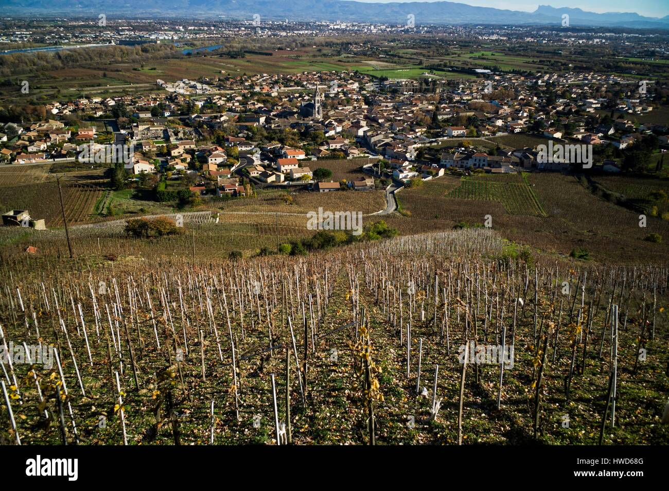 France, Ardeche, Saint Peray, Rhone valley, Cornas vineyard Stock Photo
