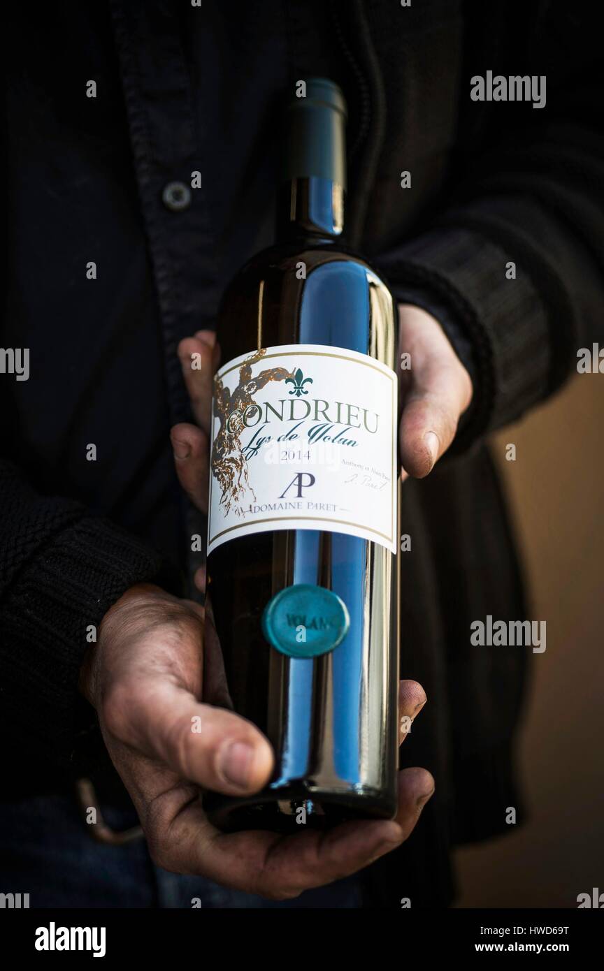 France, Loire, Saint Pierre de Boeuf, Rhone valley, wine of Cote du Rhone, vineyards of Condrieu