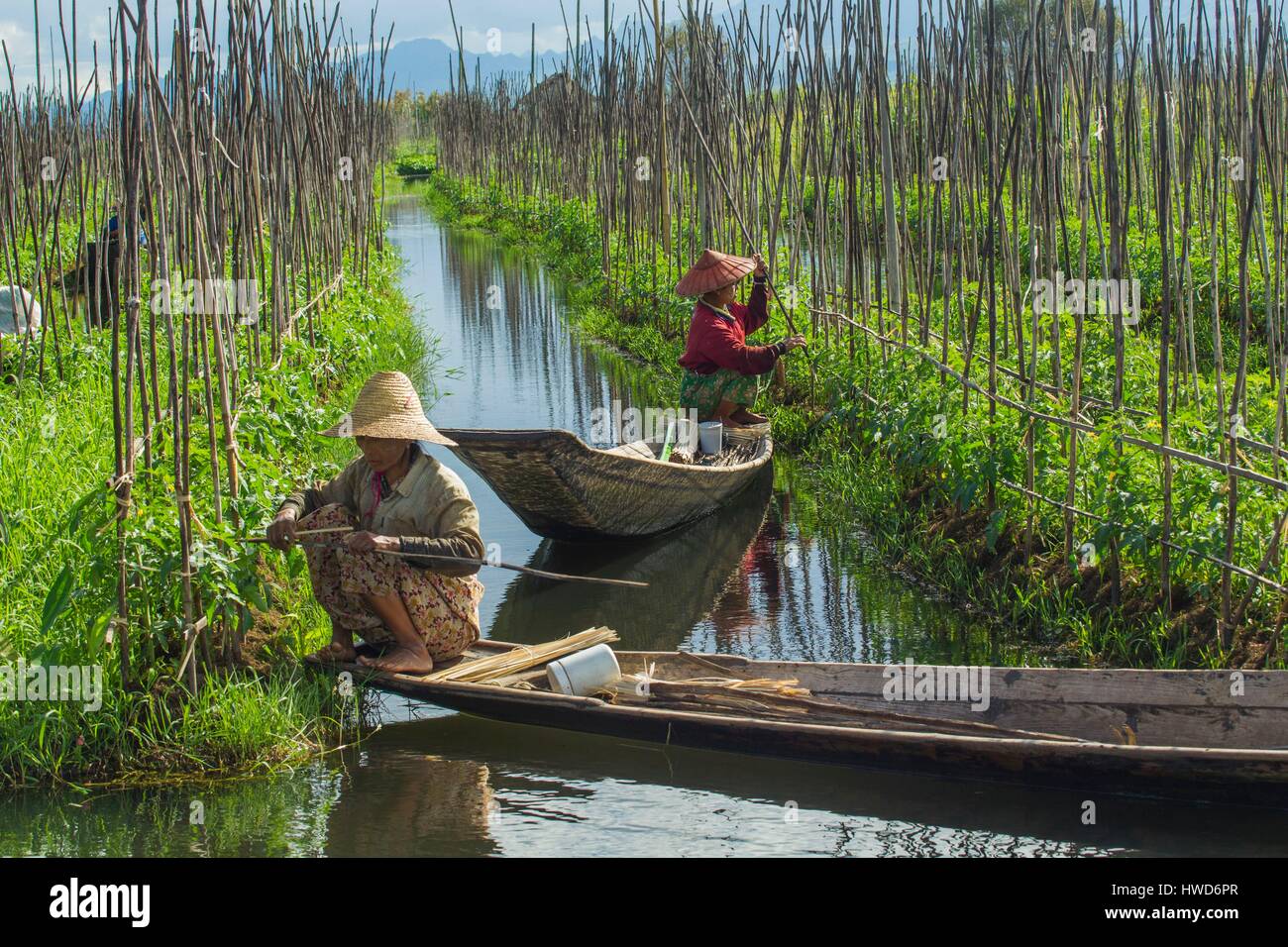 Ladies myanmar Burmese Women:
