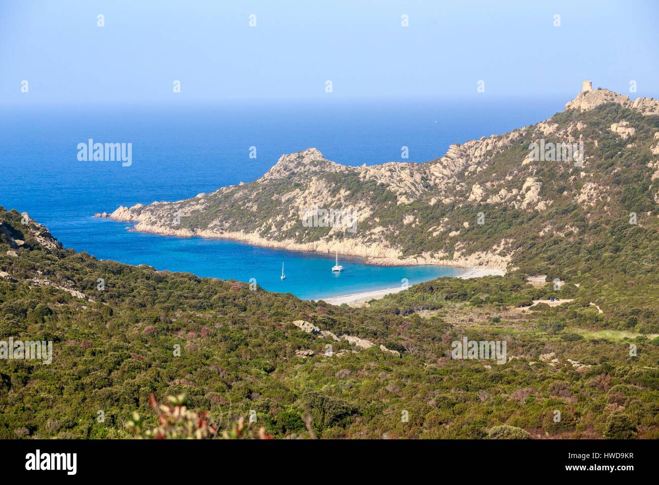 France, Corse du Sud, the natural site of Roccapina, the Genoese tower ...