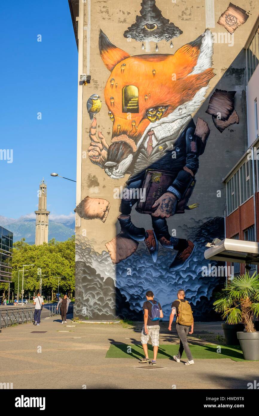 France, Isere, Grenoble, Grenoble Street Art Fest, dozens of artists  express themselves in the streets of the city, work of Van Veks Hillik on  the Library wall Stock Photo - Alamy