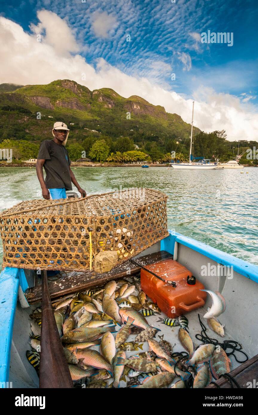 Seychelles, Mahe Island, fishermen getting their fishing trap of