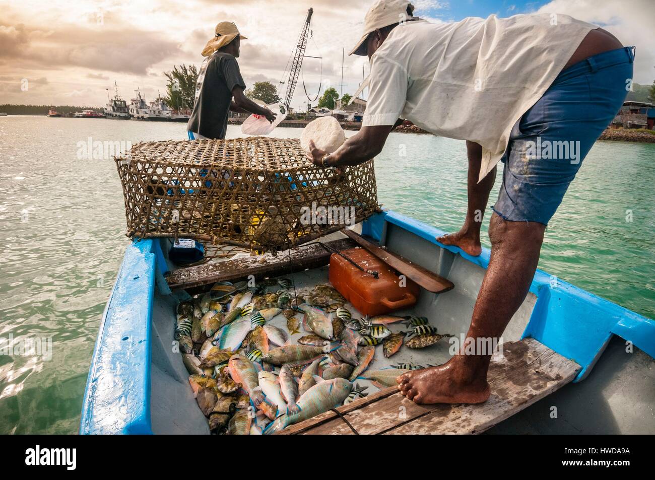 Seychelles, Mahe Island, fishermen getting their fishing trap of