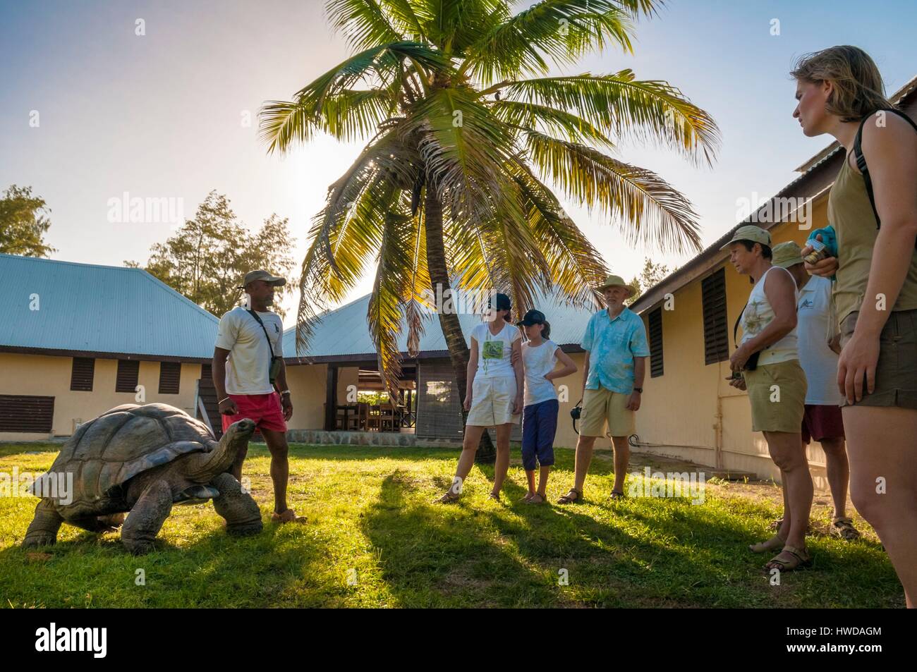 Seychelles, Bird Island, Lodge, Roby BRESSON, naturalist, presents a Seychelles giant tortoise (Aldabrachelys gigantea) to the tourists at the lodget Stock Photo
