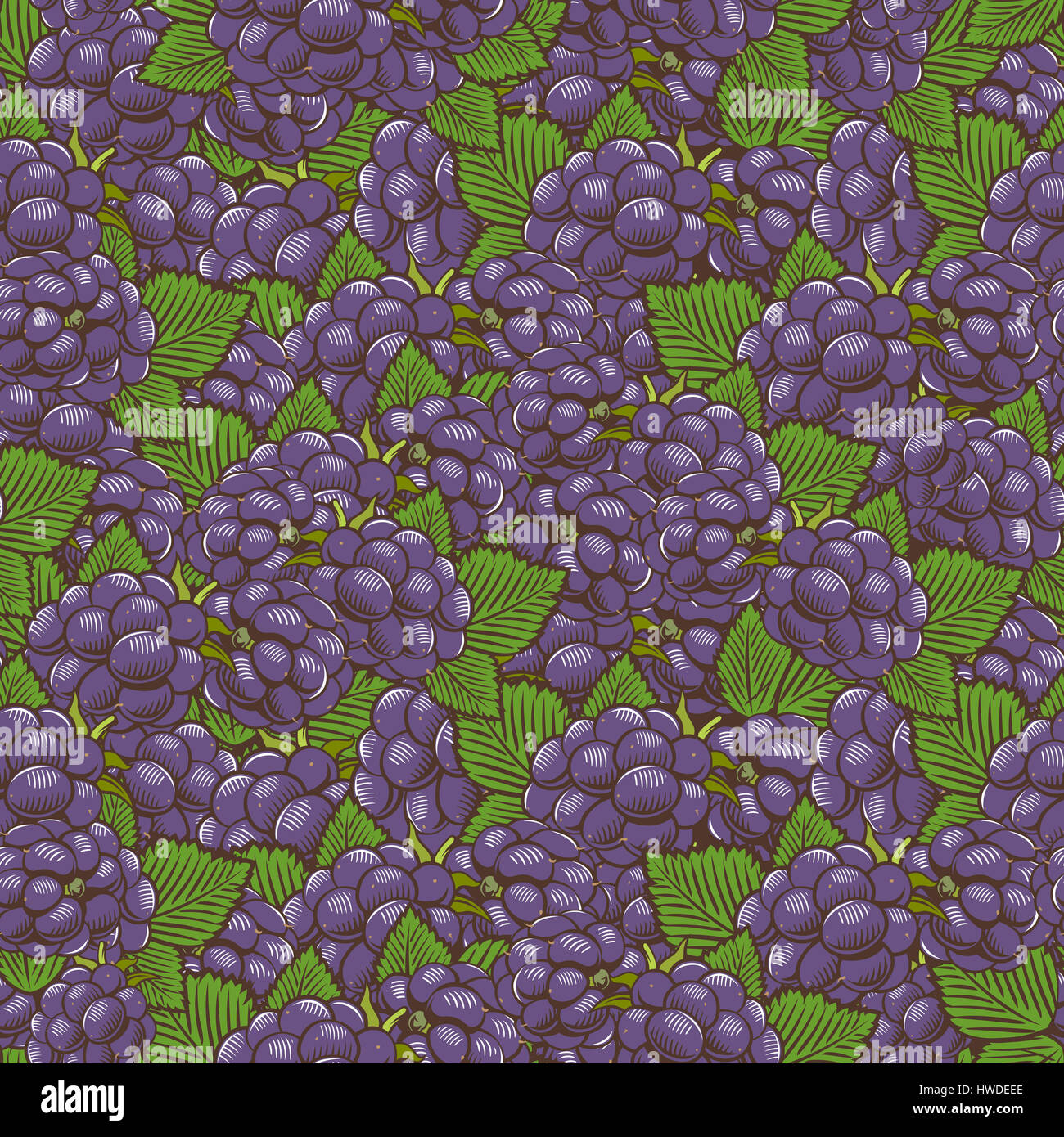 Vintage Blackberry Seamless Pattern Stock Photo