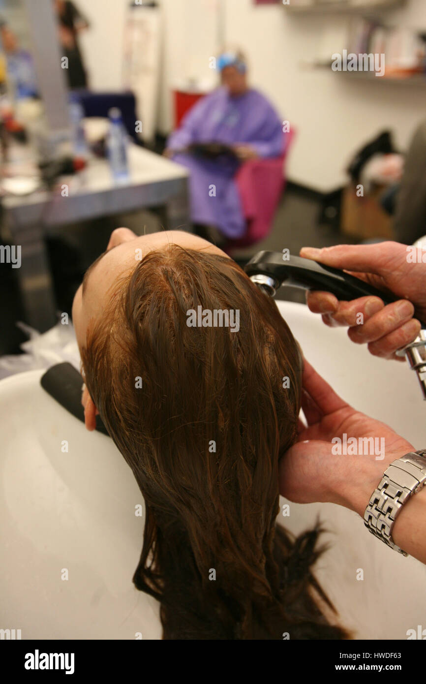 hairdresser at work Stock Photo Alamy