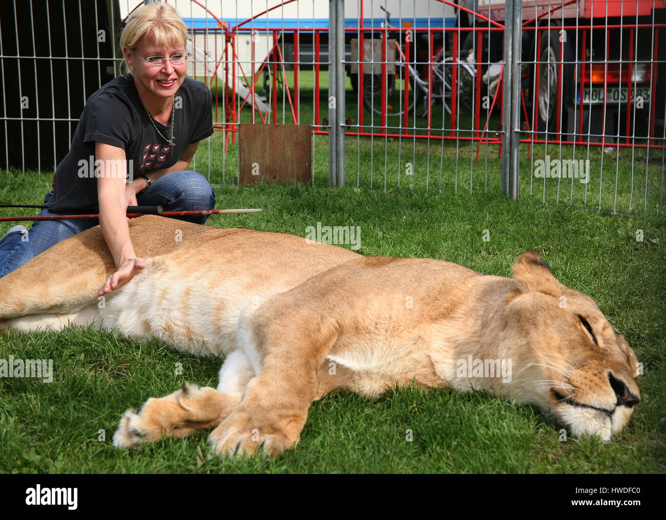 Lion tamer at Circus Renz Stock Photo - Alamy