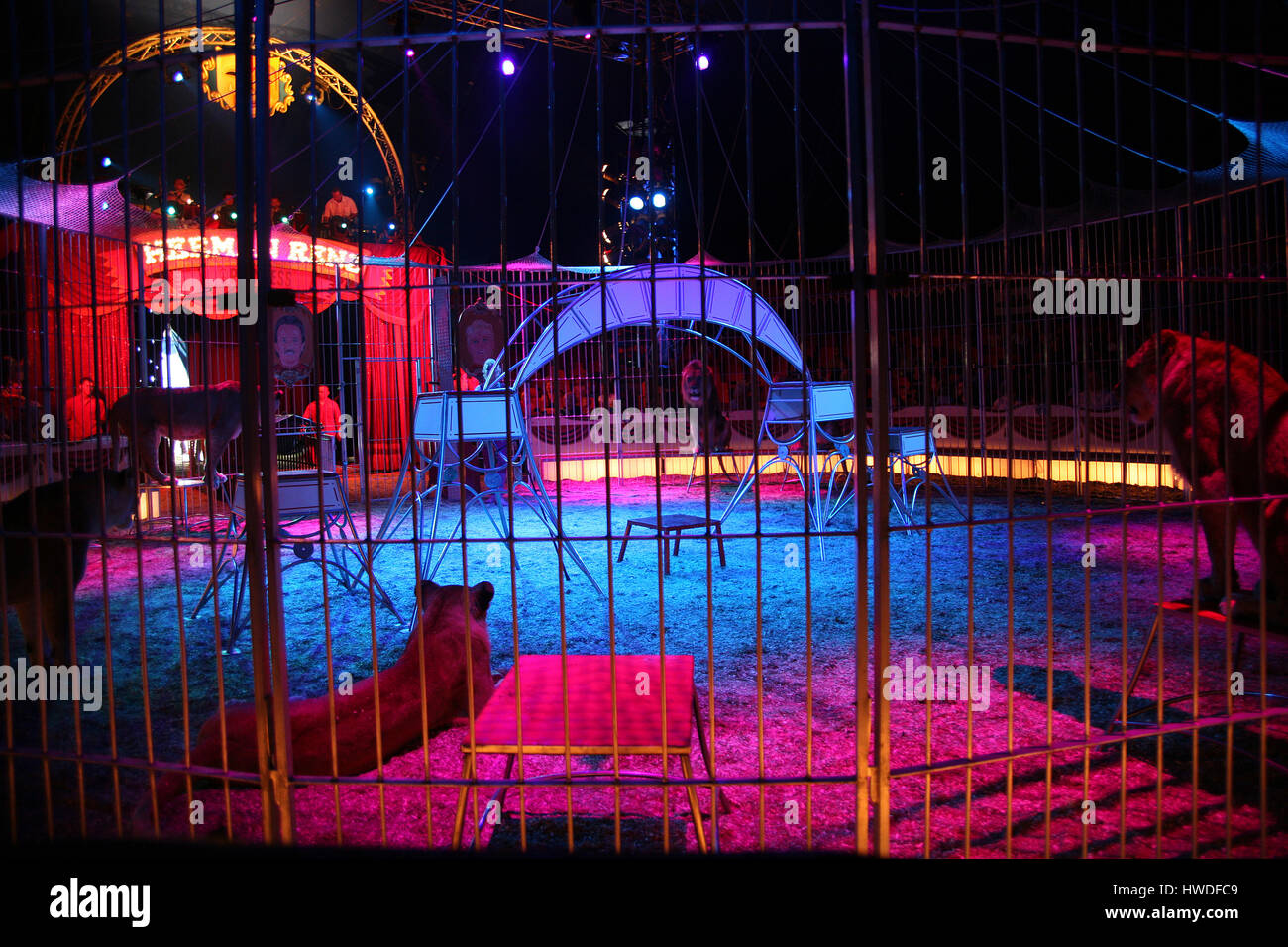 Lion tamer woman hi-res stock photography and images - Alamy