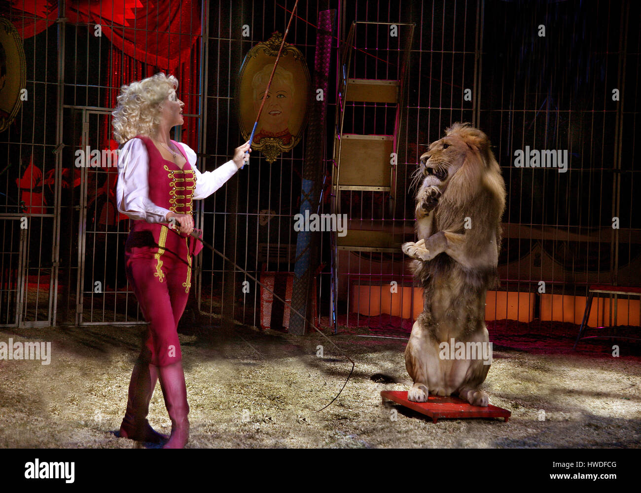 Female Circus Lion Tamer
