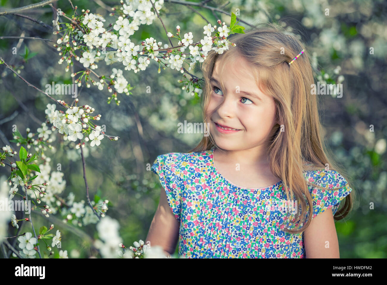 Happy little girl in cherry blossom garden Stock Photo - Alamy