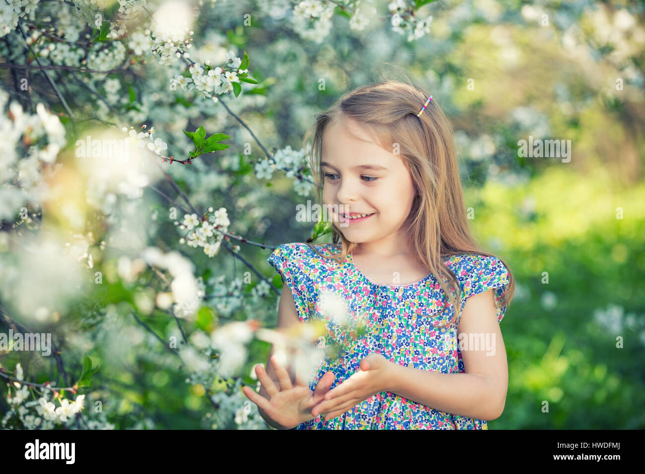 Happy little girl in cherry blossom garden Stock Photo - Alamy