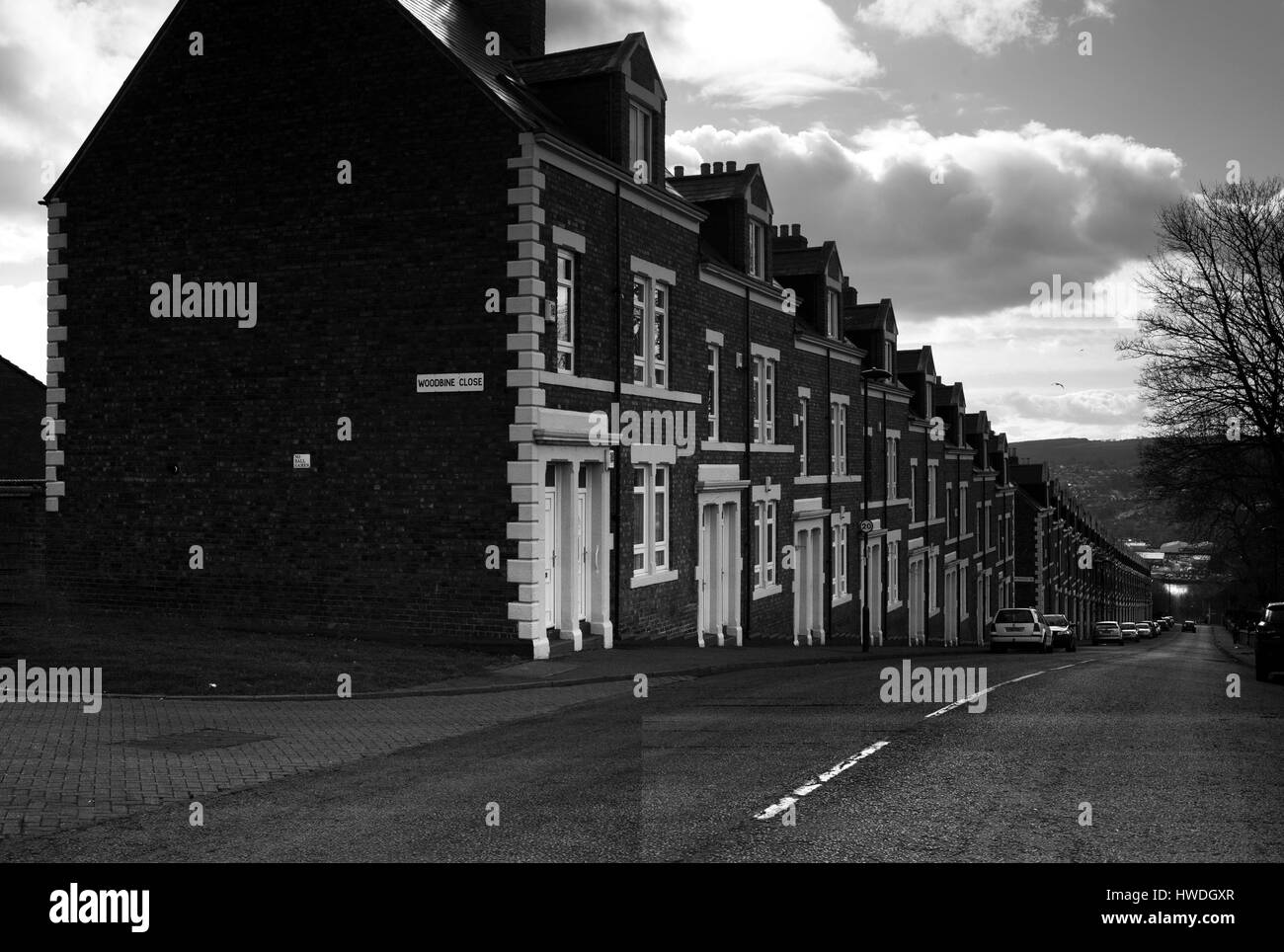 Woodbine Close, Elswick, NewcastleuponTyne Stock Photo Alamy