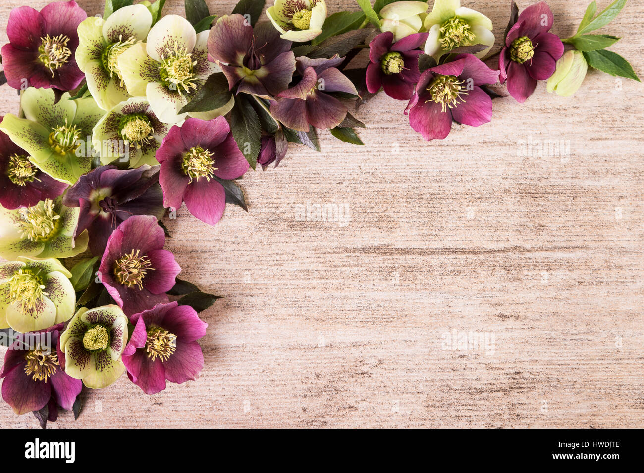 El top 100 pastel fondo vintage Abzlocal.mx