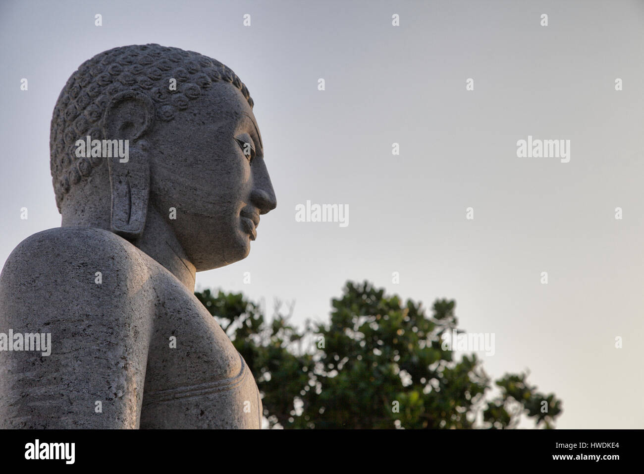 Large Buddha at Galle on the south coast of Sri Lanka. Stock Photo