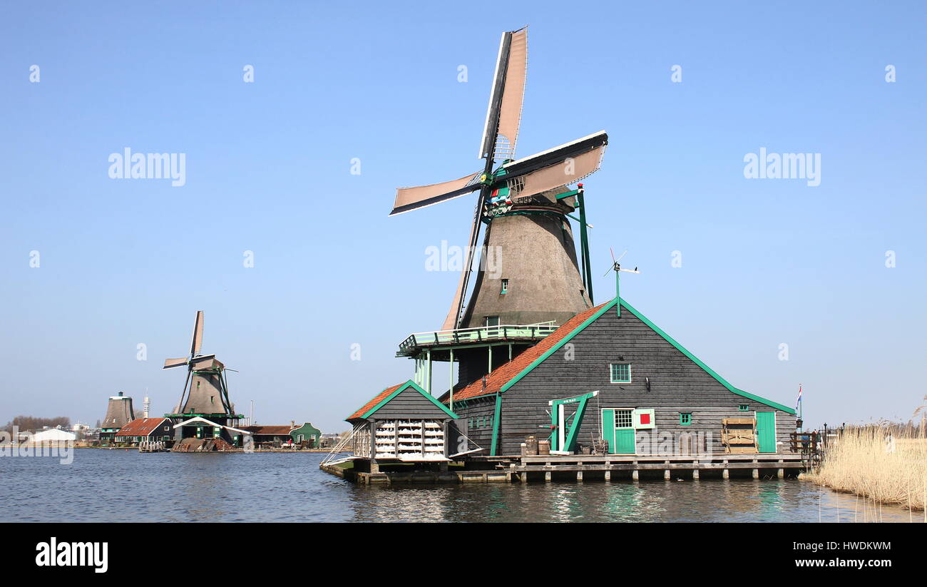 18th century windmill De Kat (The Cat), oldest functioning dyemill in the world, Zaanse Schans, Zaandijk, Netherlands. In background Het Jonge Schaap Stock Photo