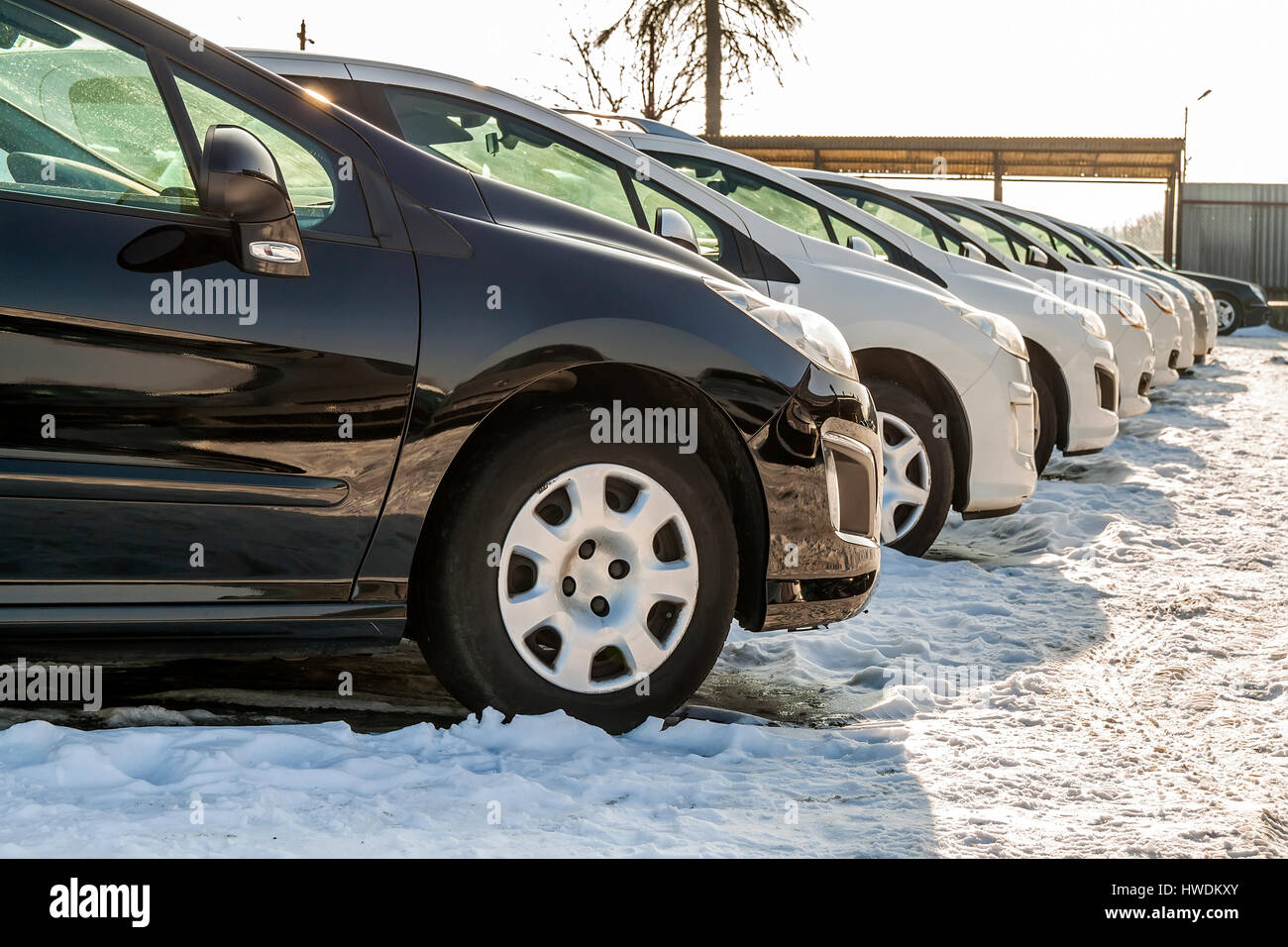 Parked Cars on a Lot. Row of New Cars on the Car Dealer Parking Lot