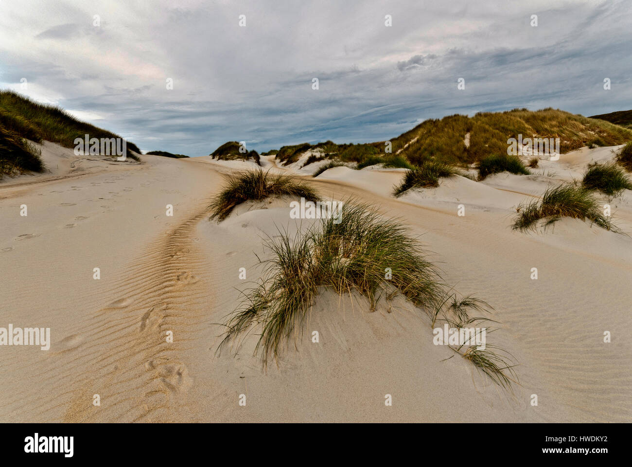 Sand dunes on a beach on the Otago Peninsula New Zealand Stock Photo