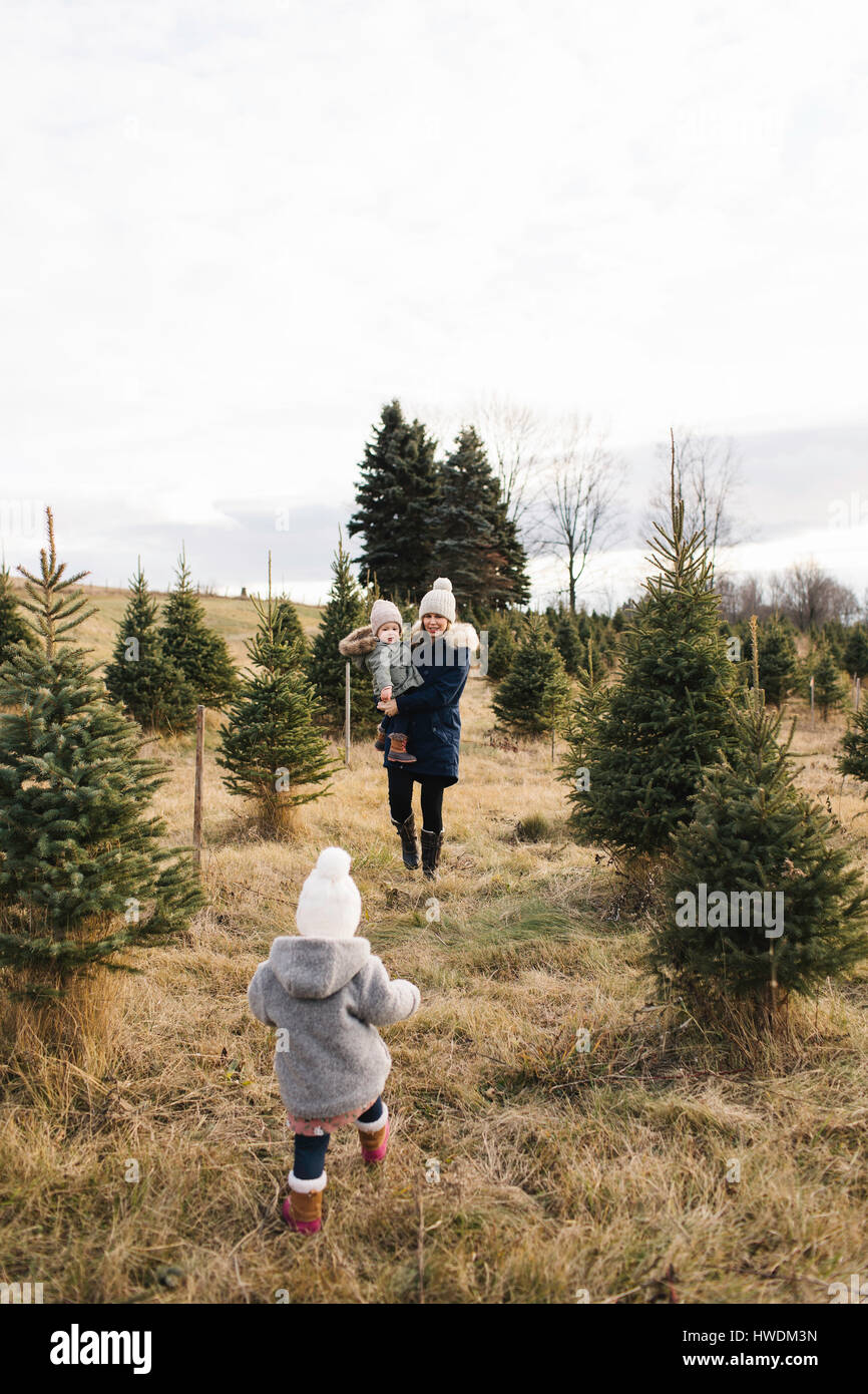 Mother and baby girls in Christmas tree farm, Cobourg, Ontario, Canada