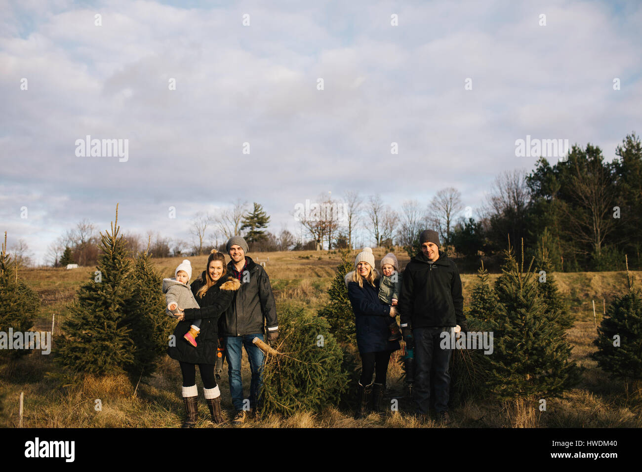 Parents and baby girls in Christmas tree farm, Cobourg, Ontario, Canada Stock Photo