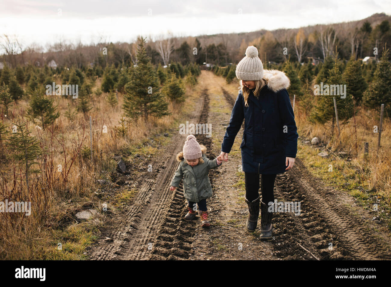 Mother and baby girl in Christmas tree farm, Cobourg, Ontario, Canada