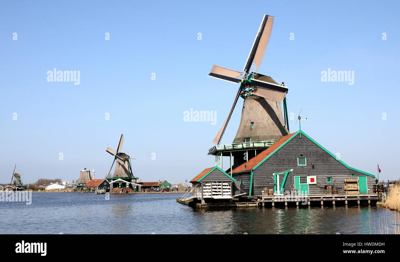 18th century windmill De Kat (The Cat), oldest functioning dye mill in the world, Zaanse Schans, Zaandijk, Netherlands. In background Het Jonge Schaap Stock Photo