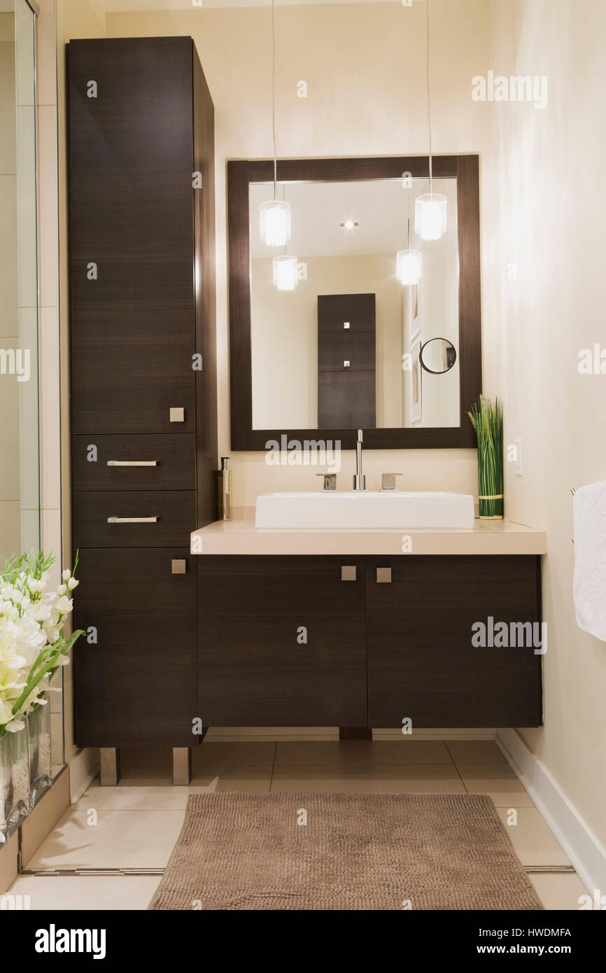 Contemporary Brown Laminated Wood Vanity With Mirror In Bathroom