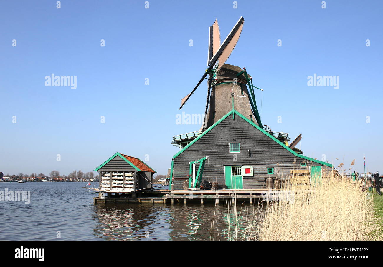 18th century windmill De Kat (The Cat), oldest functioning dyemill in the world at Zaanse Schans, Zaandam / Zaandijk, Netherlands Stock Photo