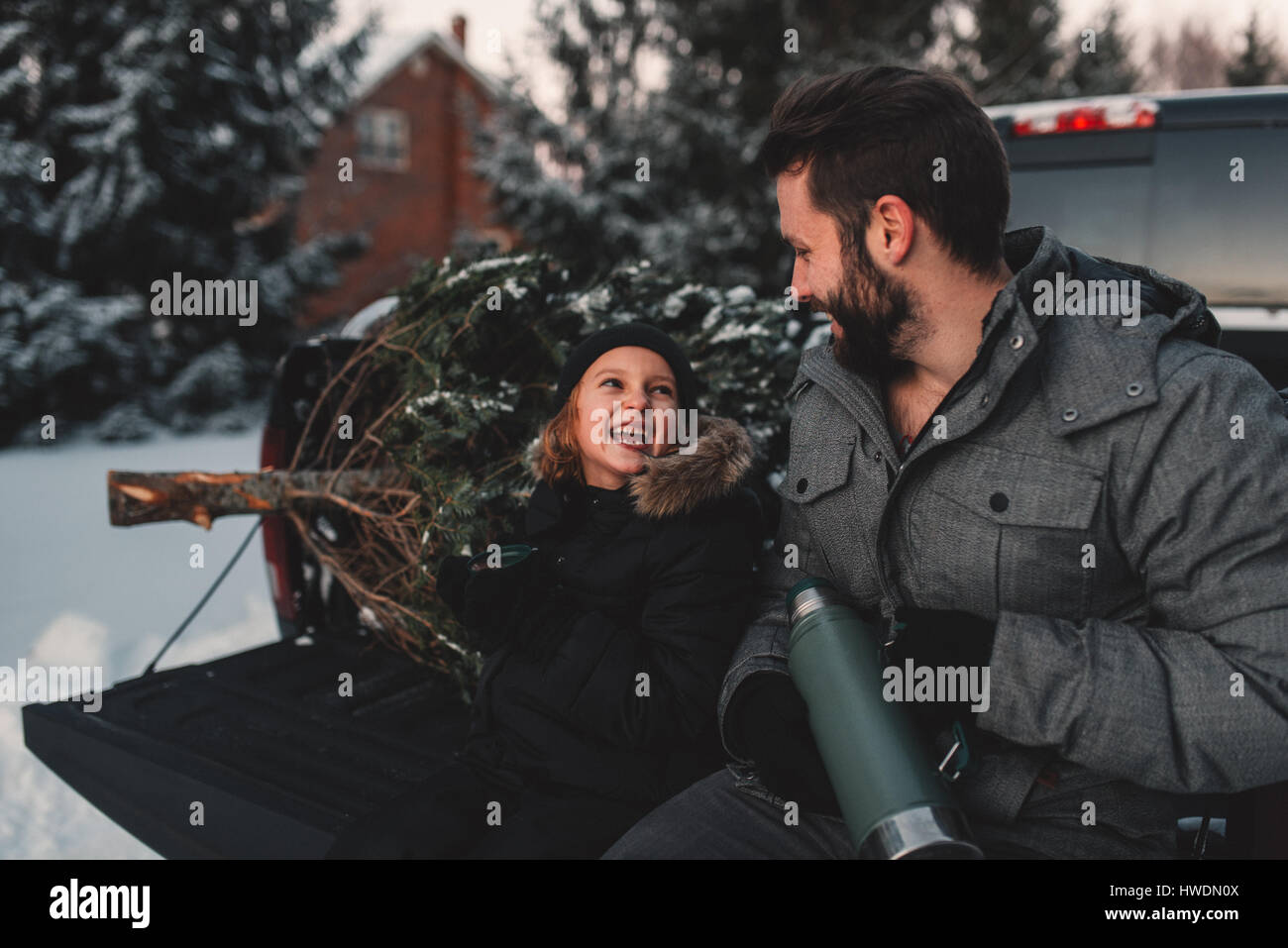 Father and daughter on back of pick up truck with their Christmas tree Stock Photo