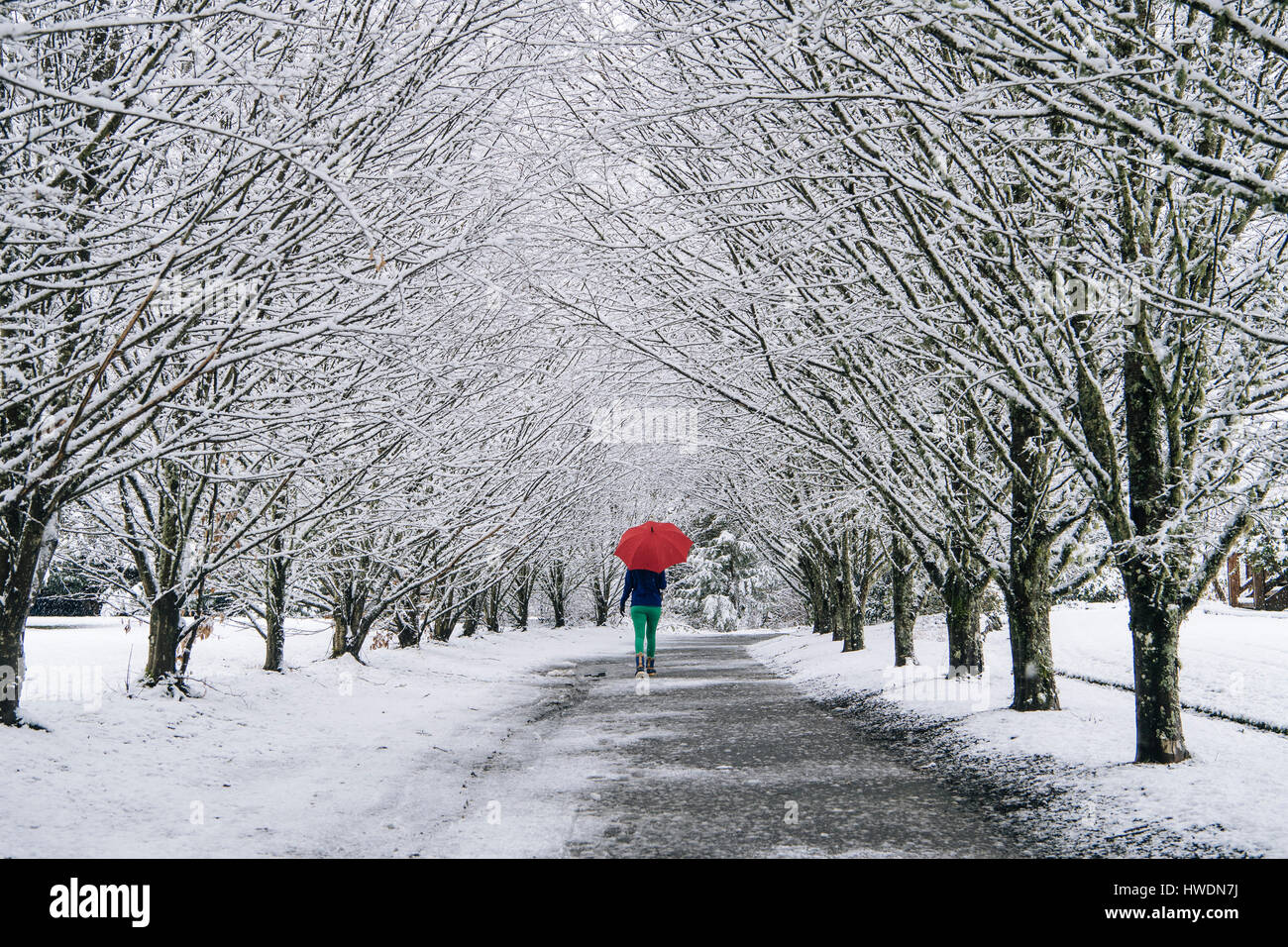 Red umbrella winter snow hires stock photography and images Alamy