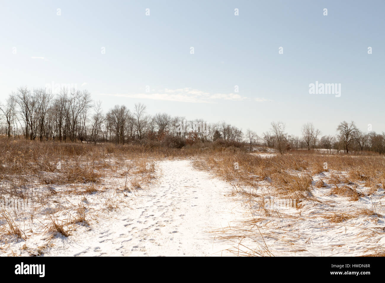 Snow-covered hiking trail through prairie in winter Stock Photo