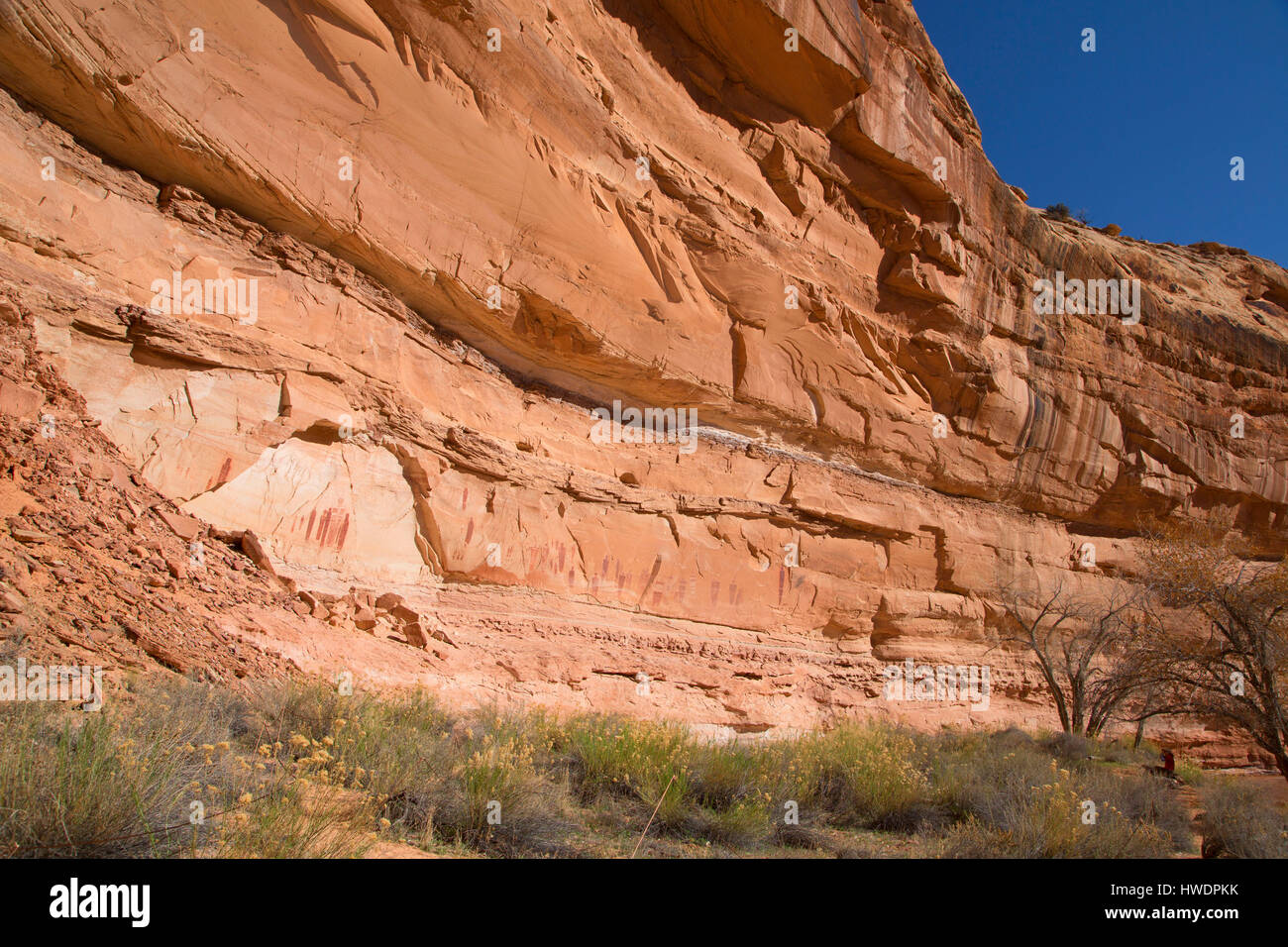 The Great Gallery in Horseshoe Canyon, Canyonlands National Park