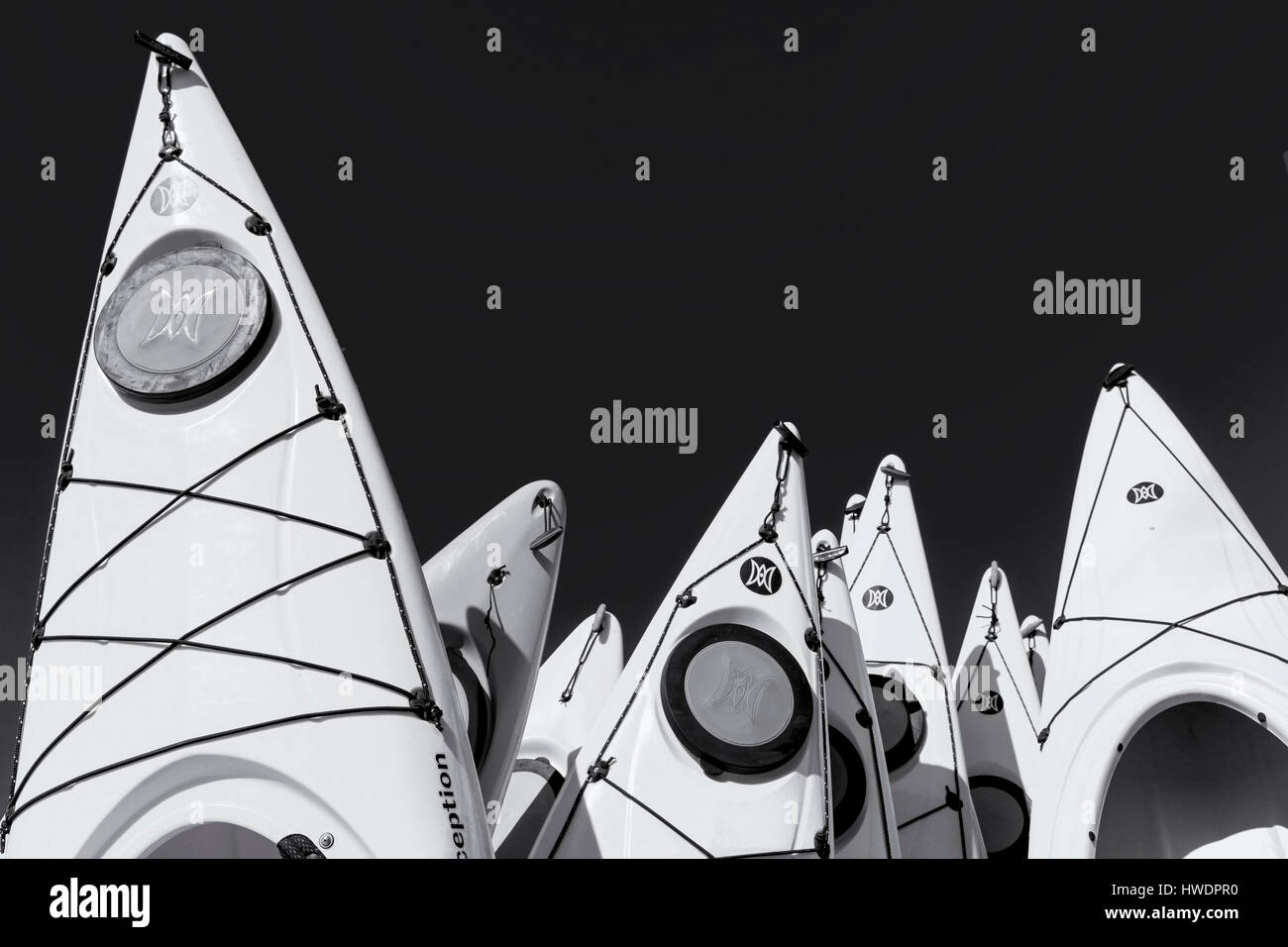 Carolina kayak hires stock photography and images Alamy