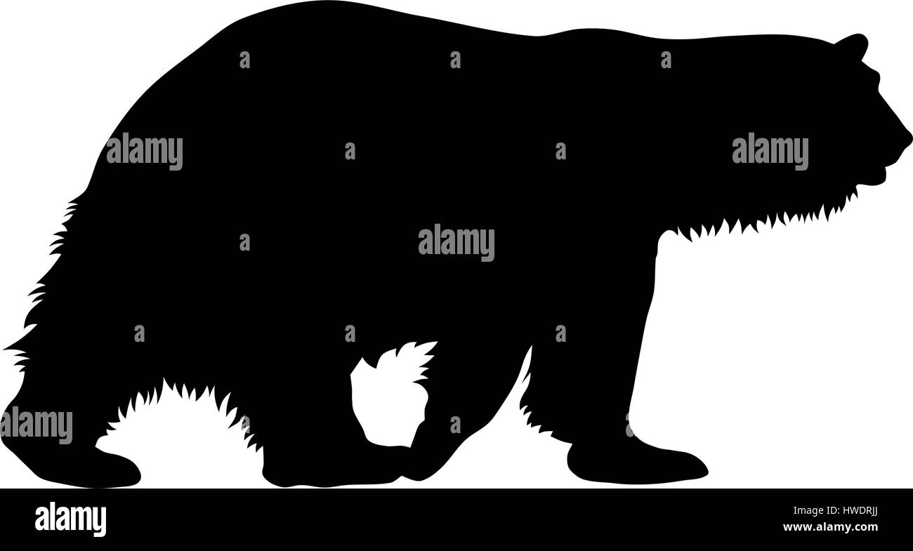 Vector illustration of polar bear silhouette Stock Vector