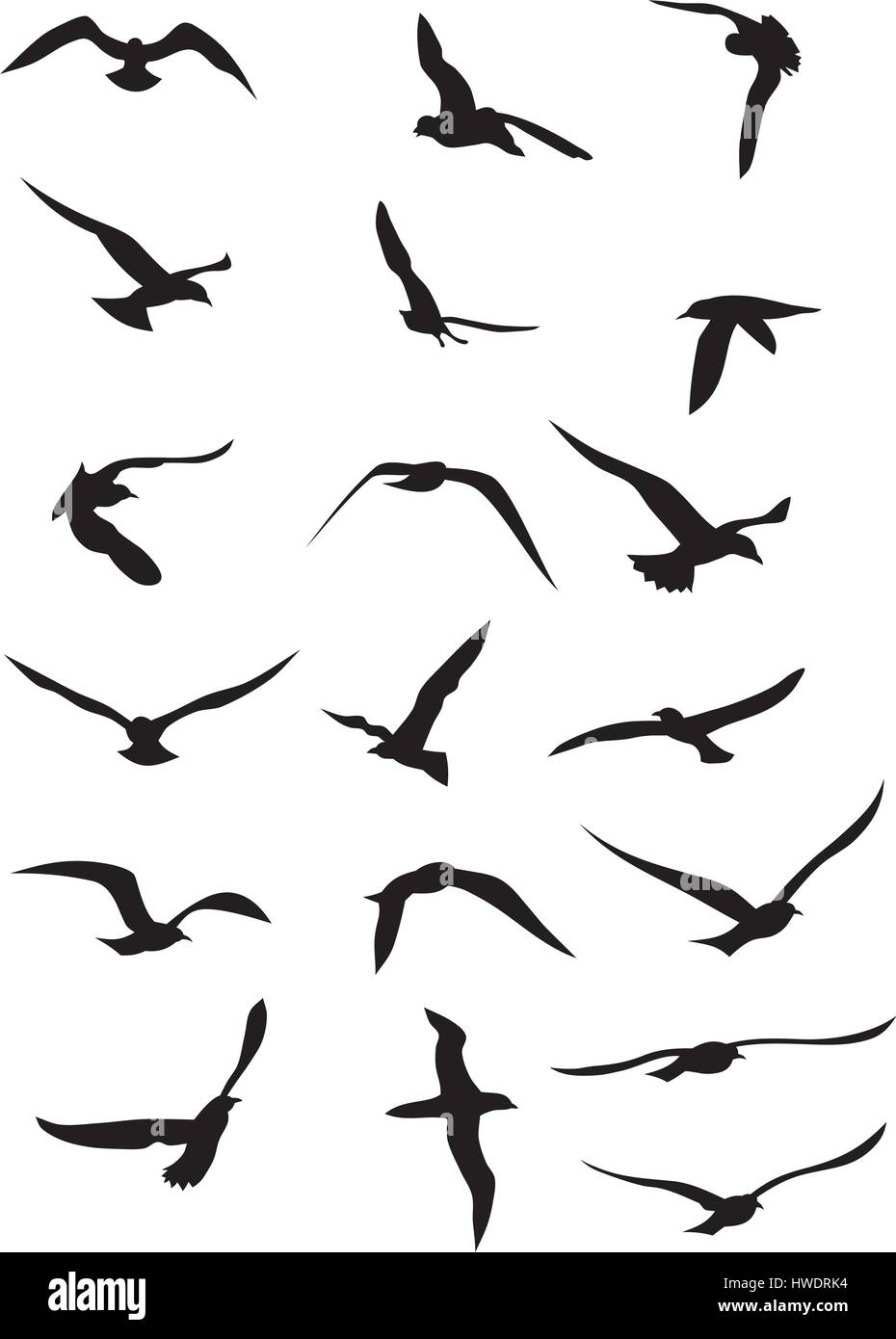 Learning to fly Royalty Free Vector Image - VectorStock