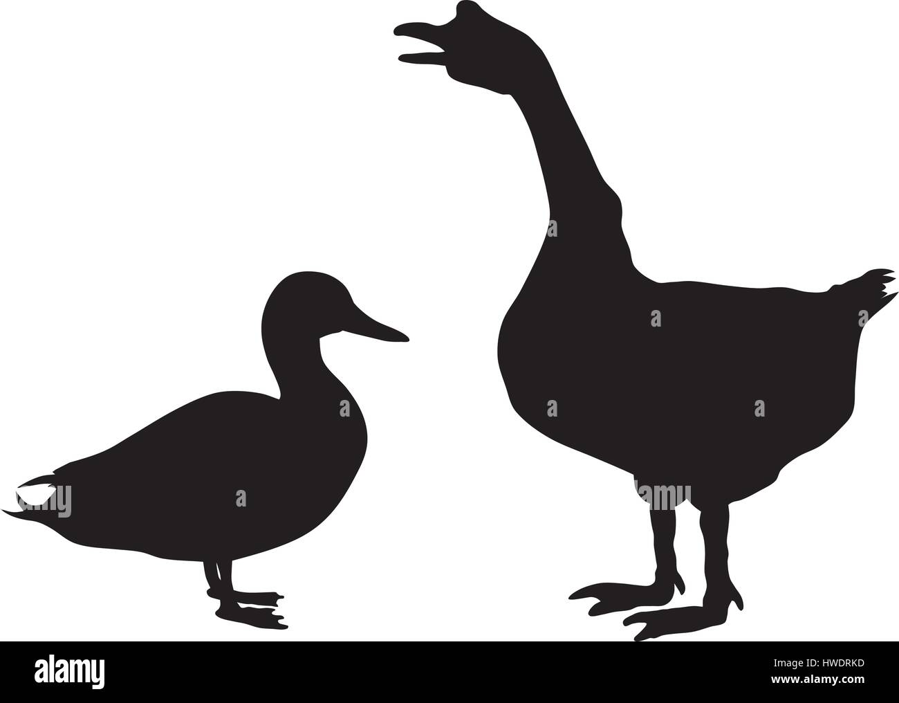 Abstract vector illustration of farm birds Stock Vector