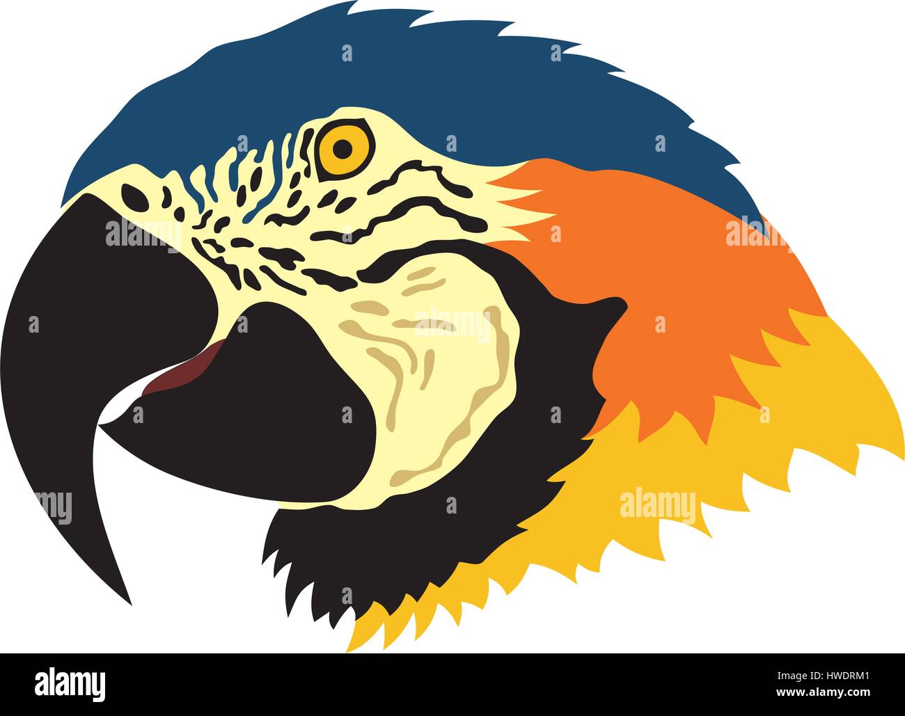 Abstract vector illustration of parrot Stock Vector Image & Art - Alamy
