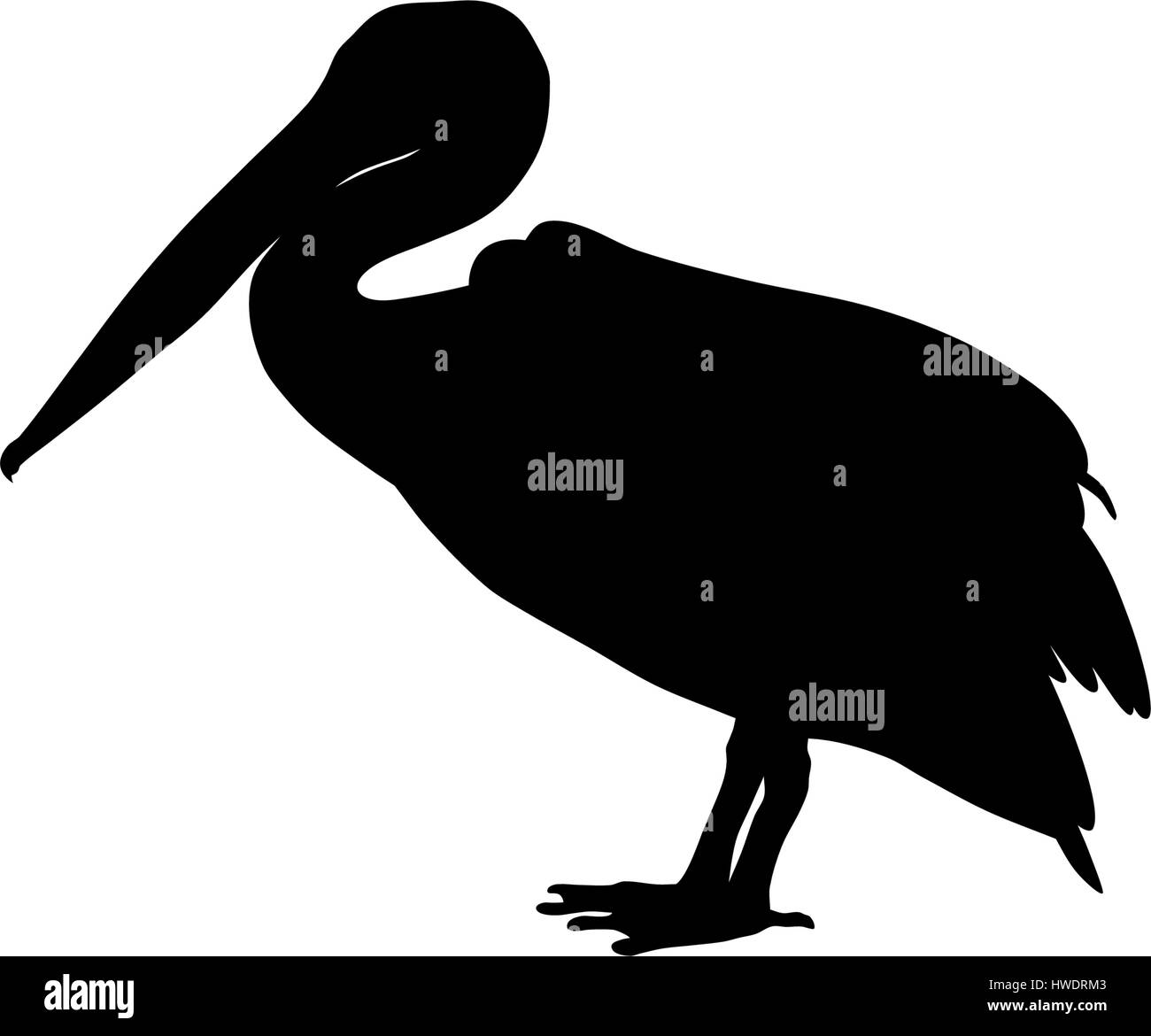 Vector illustration of pelican silhouette Stock Vector