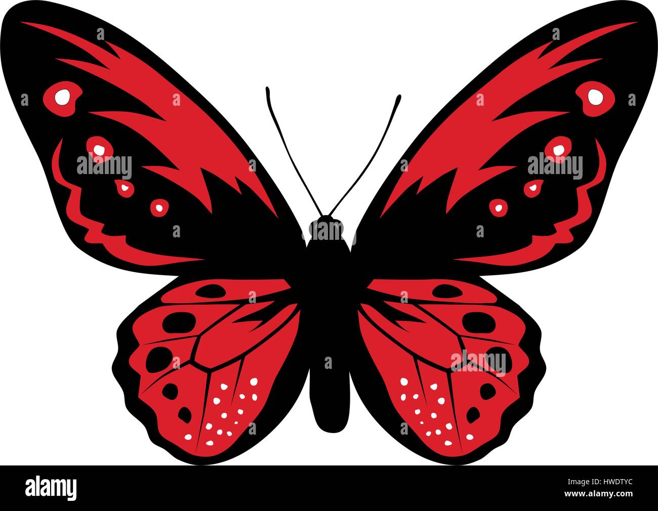 Color vector illustration of butterfly Stock Vector Image & Art Alamy