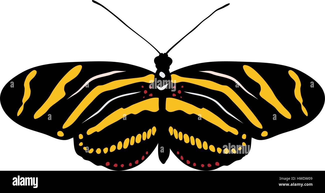 Abstract vector illustration of butterfly Stock Vector Image & Art - Alamy